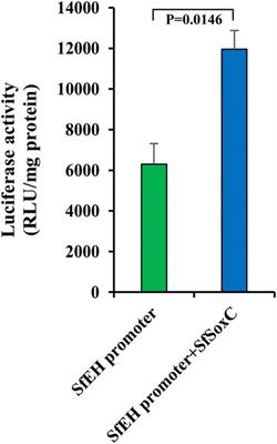 SoxC is Required for Ecdysteroid Induction of Neuropeptide Genes During Insect Eclosion